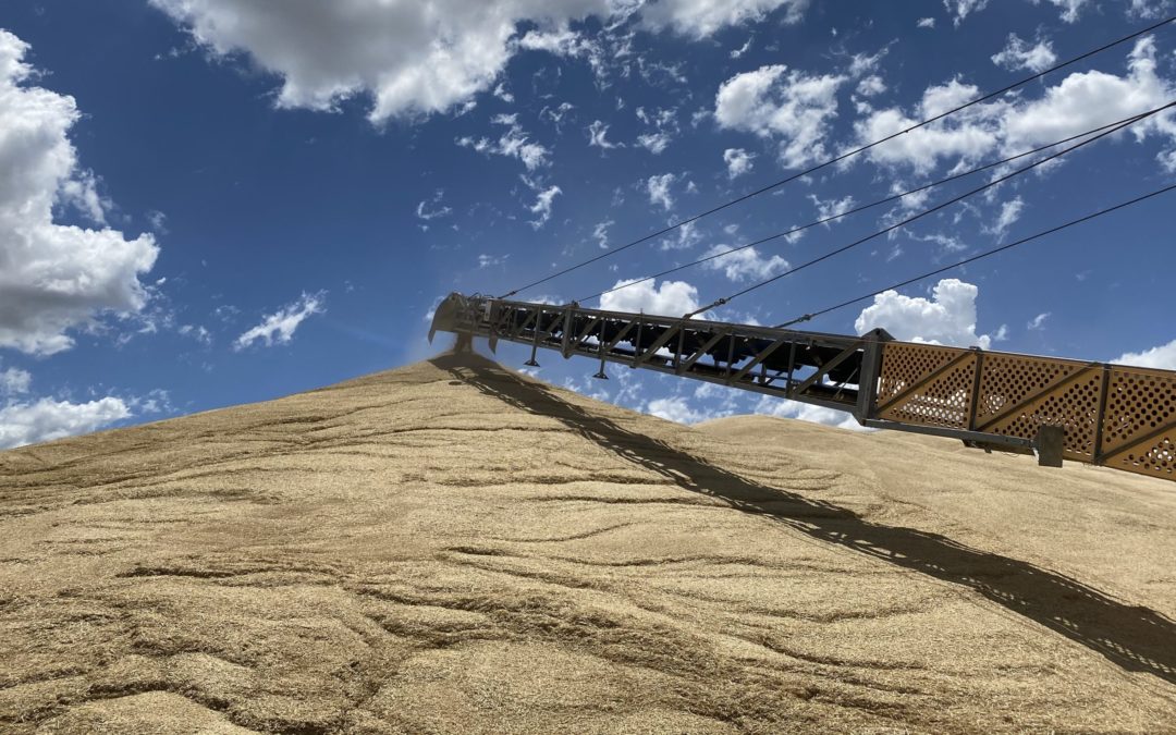 Harvest Update – 17/01/22