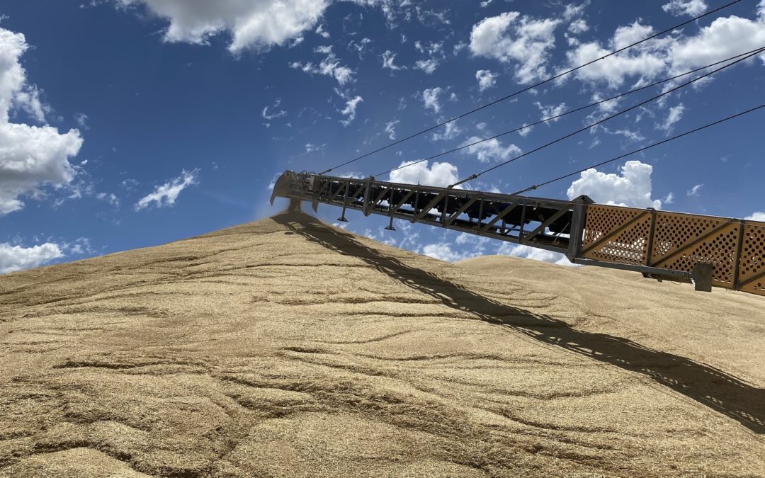 Harvest Update – 03/01/23