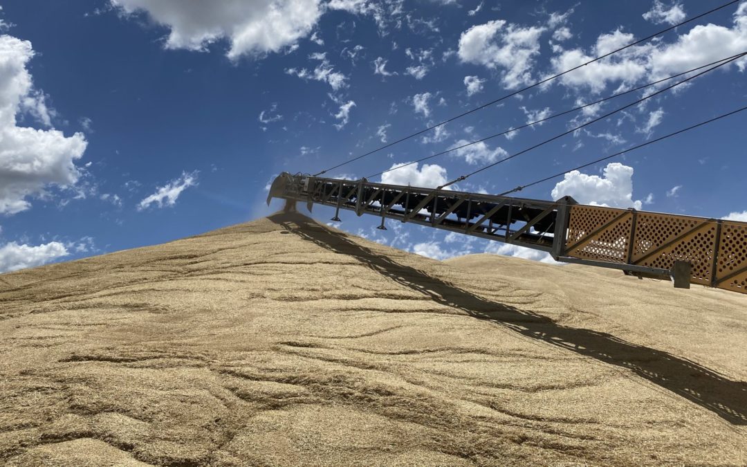 Harvest Update – 01/11/21