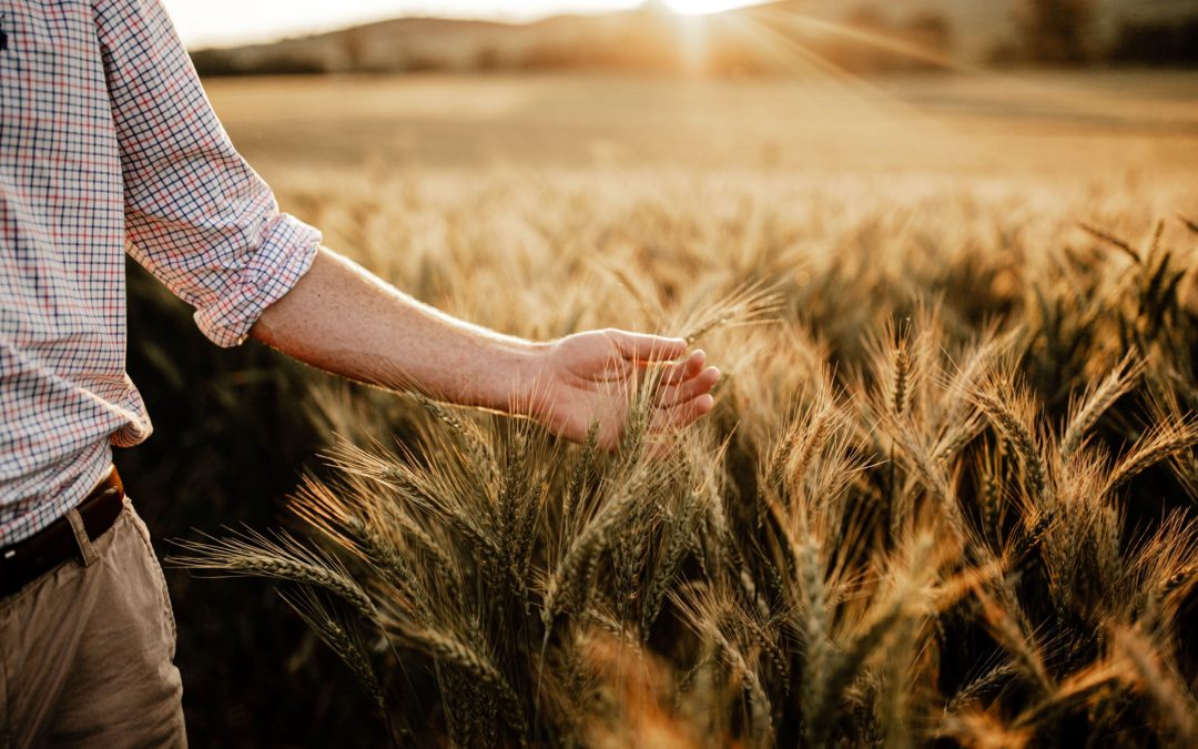 Best of the best: Harvest Photo Competition 2021 winners