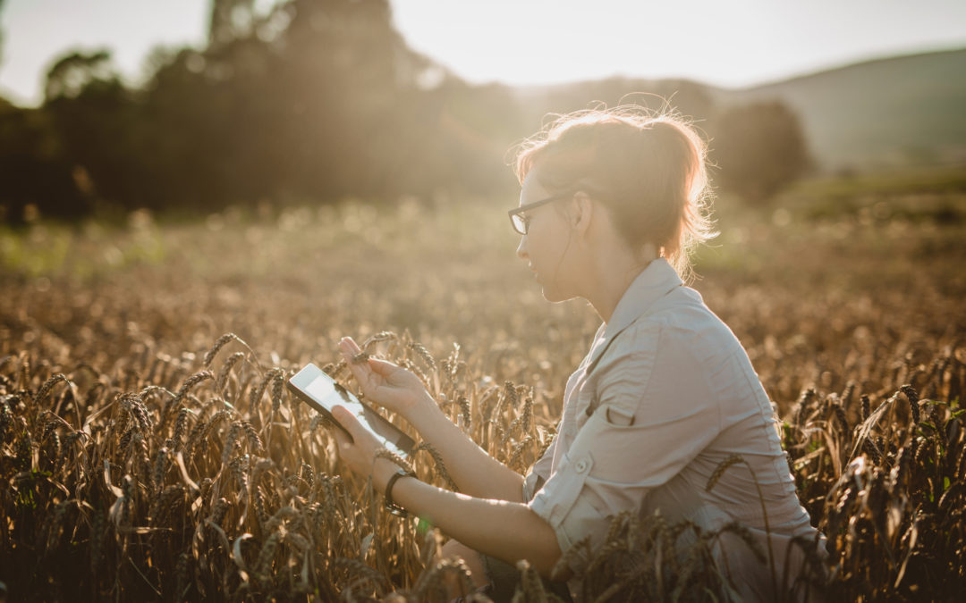 New GrainCorp fund to inject $30 million into AgTech