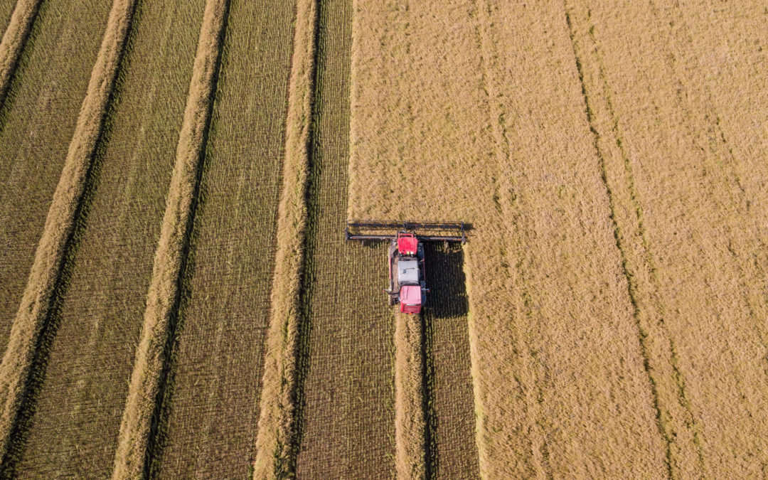 GrainCorp and Loam Bio launch soil carbon collaboration