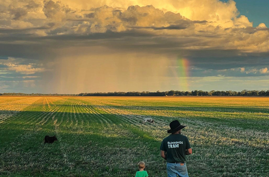 GrainCorp Harvest Photo Competition 2022