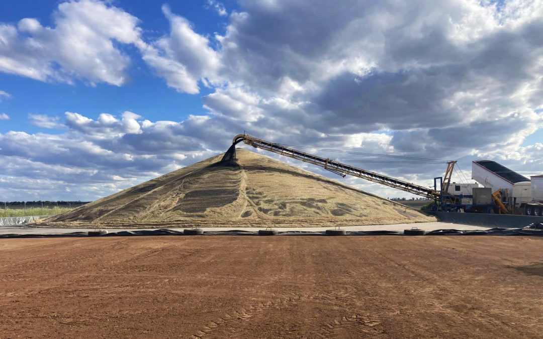 Harvest Update – 19/12/22