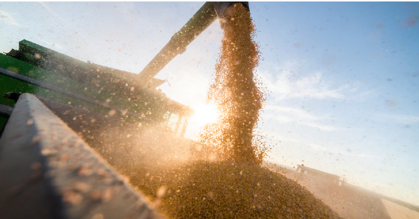 Harvest Update – 2/01/2024