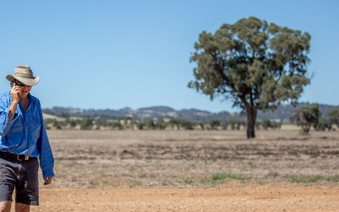 GrainCorp investment to boost digital connectivity in the bush
