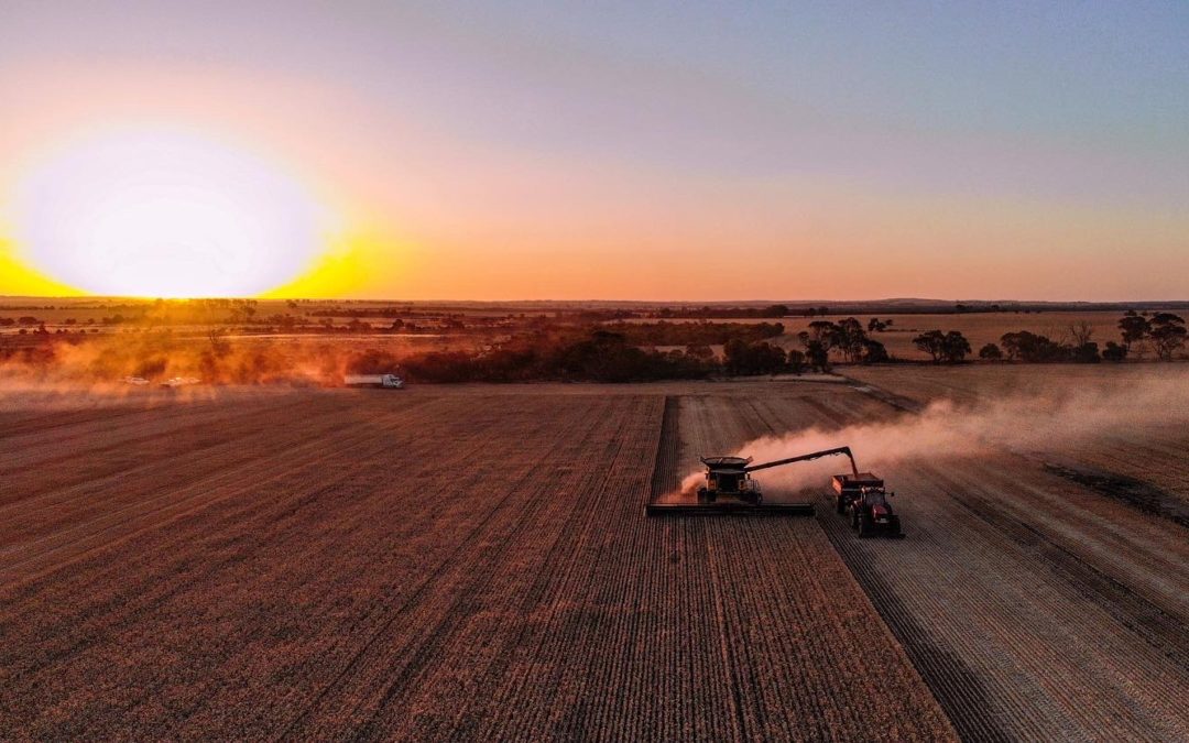 Pick of the crop: Harvest Photo Competition 2022 winners