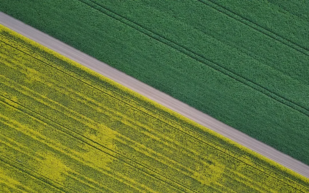 Unlocking Agricultural Potential: GrainCorp’s submission to the Economic Reform Roundtable
