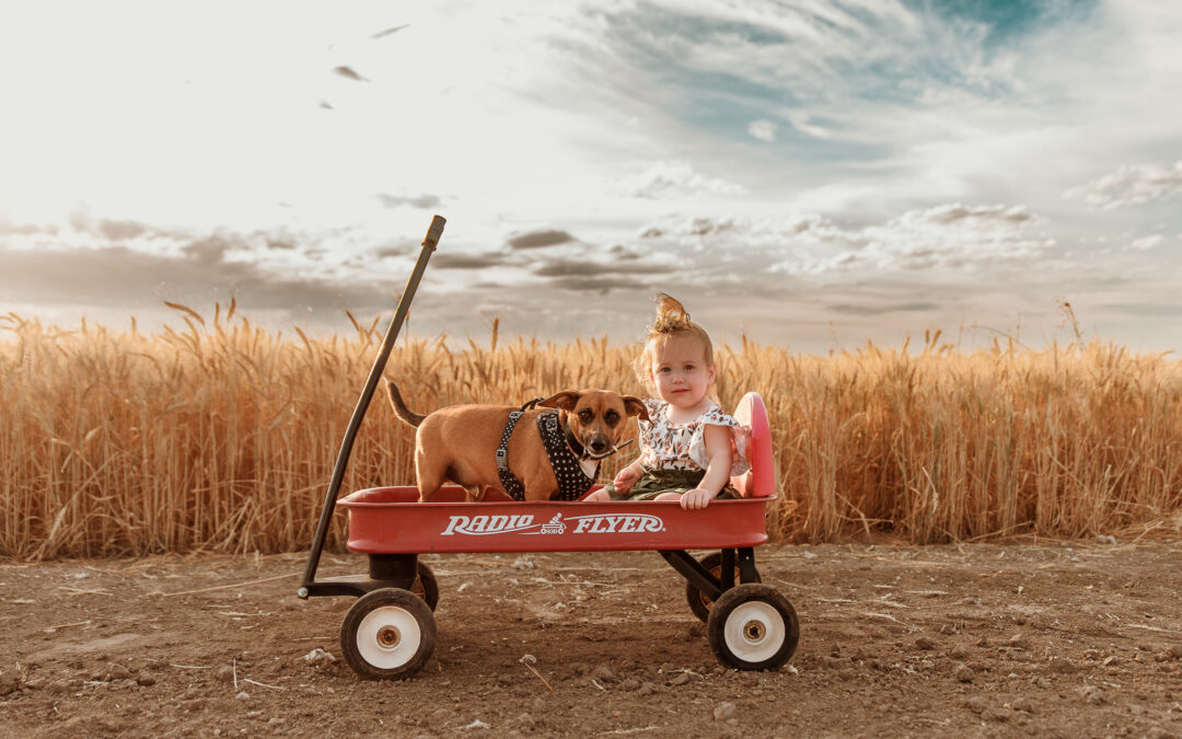 GrainCorp Harvest Photo Competition 2023