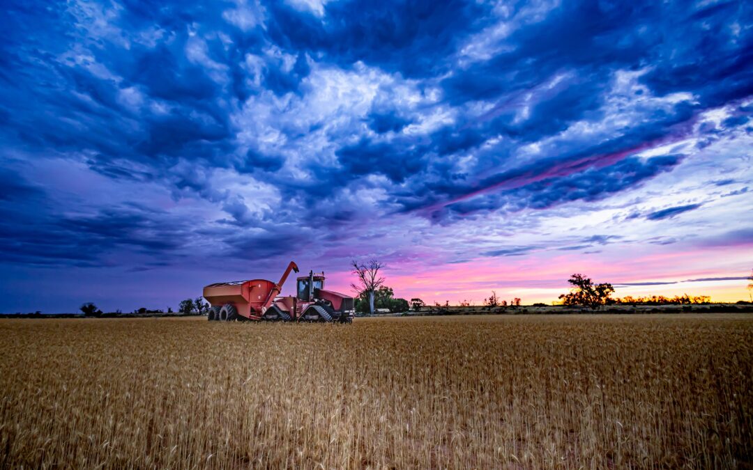 Capturing colours and crops: Harvest Photo Competition 2023 winners