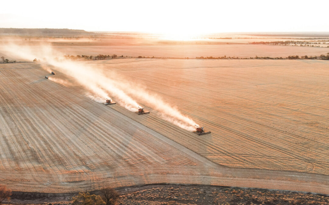 GrainCorp’s 2024 Harvest Photo Competition