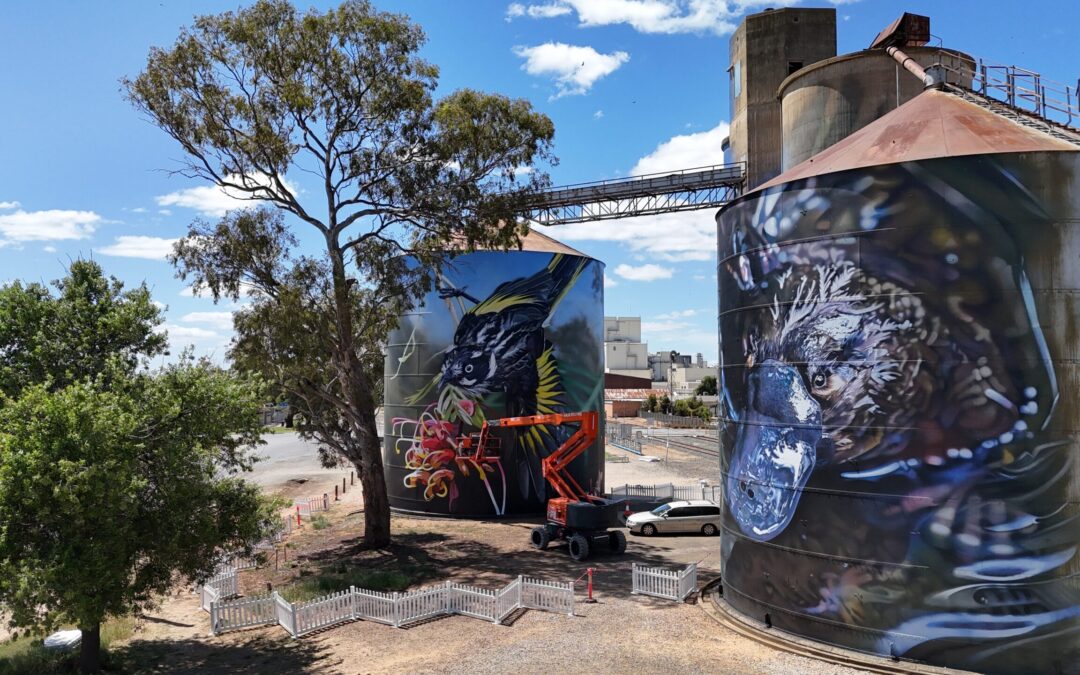 Rochester silo art takes flight