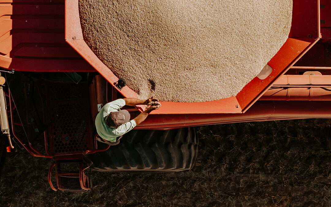 Winners of GrainCorp’s 2024 Harvest Photo Competition announced
