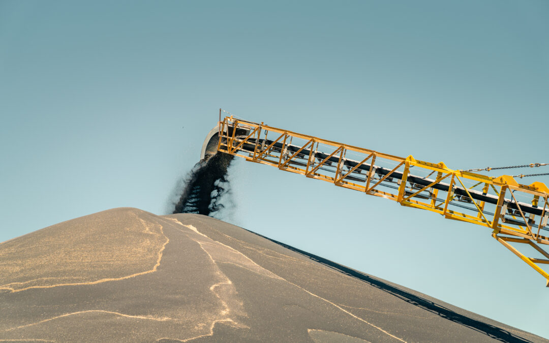 Harvest Update – 20 October 2025
