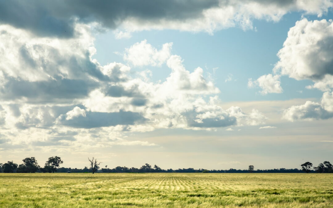 GrainCorp’s climate targets validated by the Science Based Targets initiative