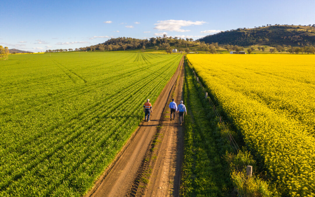 Submission: National Food Security Strategy