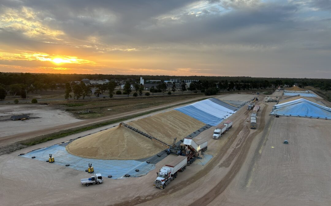 Harvest Update – 3 November 2025