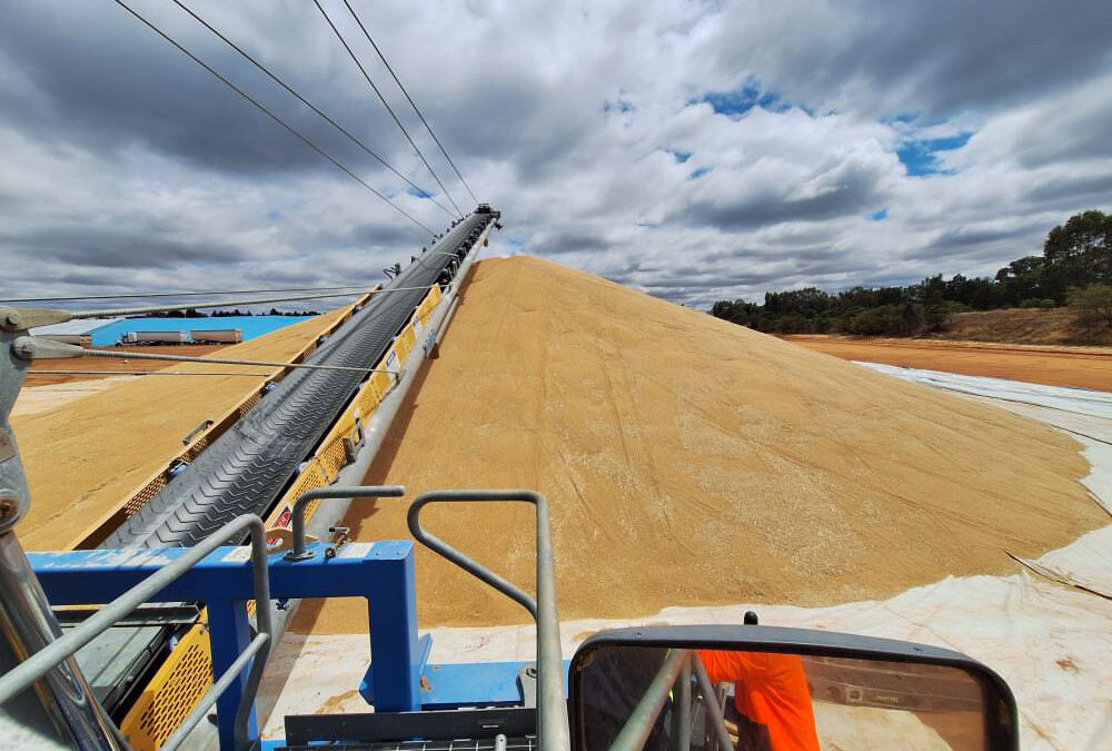 Harvest Update – 10 November 2025