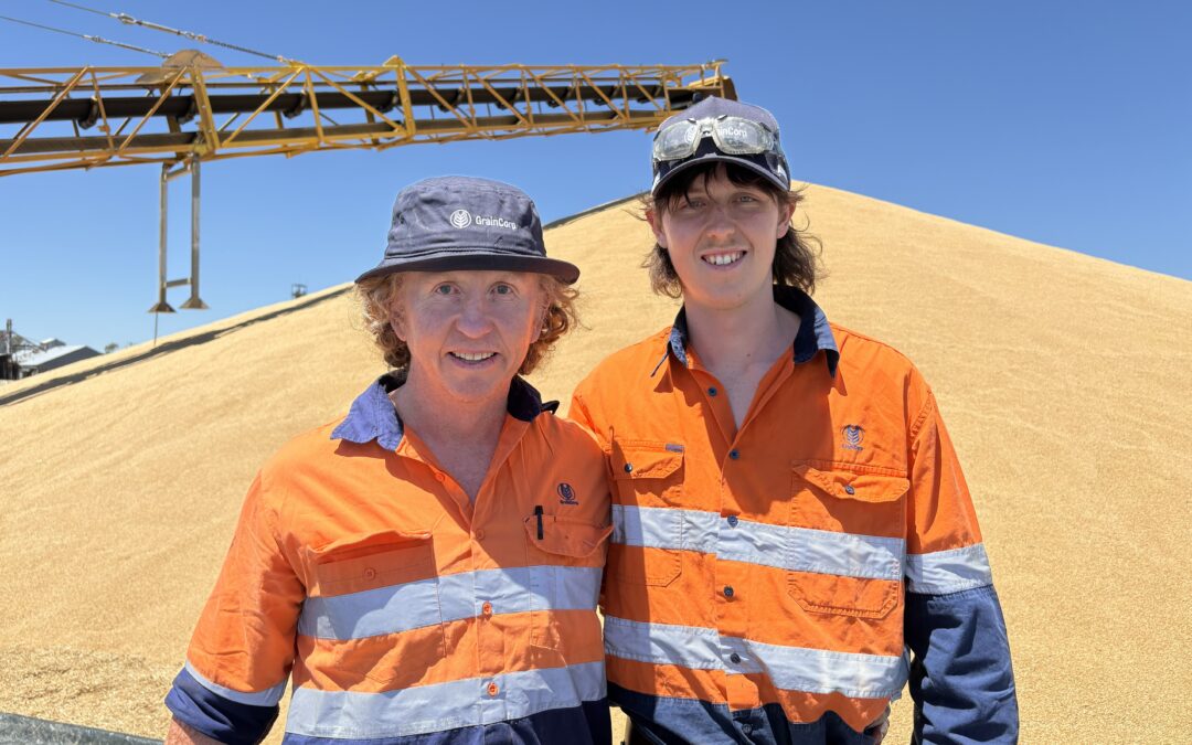 From high-rise to high-vis: Ozzie returns to his harvest roots