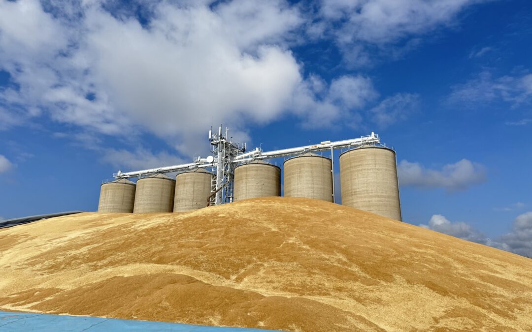Harvest Update – 17 November 2025