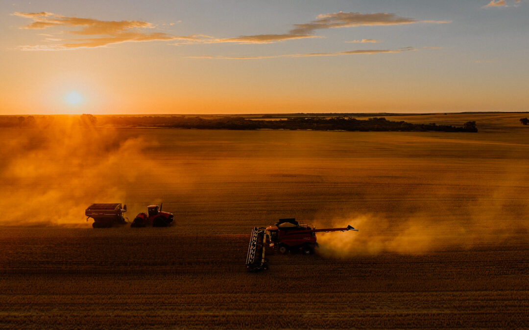 Harvest Update – 22 December 2025