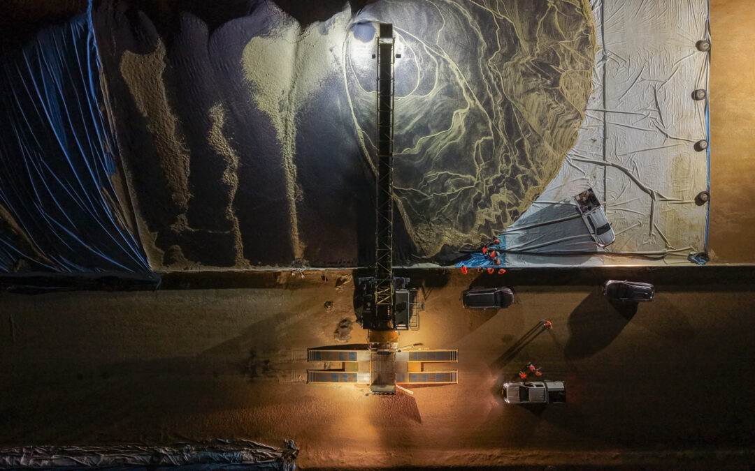 Harvest Update – 8 December 2025