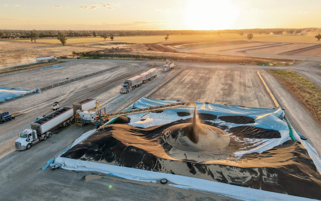 Harvest Update – 15 December 2025