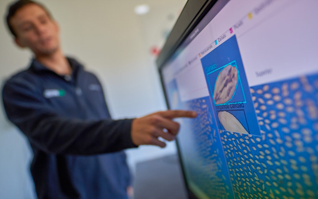 New ZoomAgri technology lands at GrainCorp ports