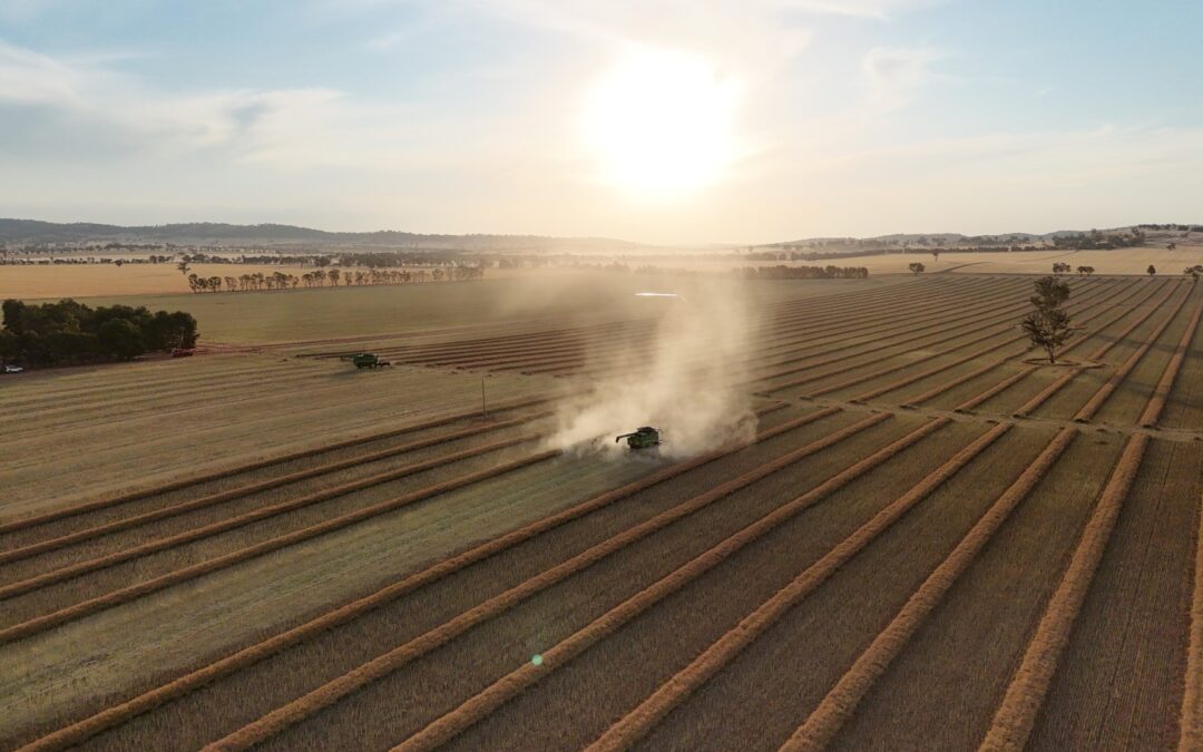 Harvest Update – 1 December 2025
