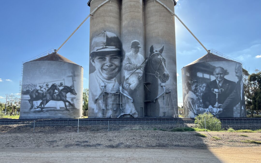 GrainCorp celebrates 20th silo art project with new mural in Birchip, Victoria