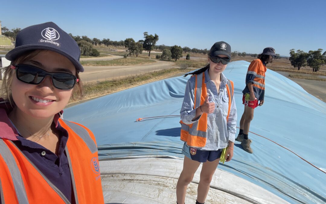 How Sophie turned a job in the sample stand into coordinating global grain shipments