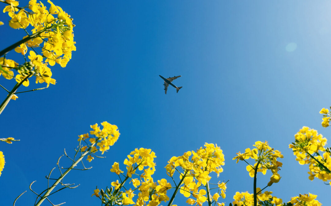 From Paddock to Plane: GrainCorp outlines pathway for Australia’s sustainable aviation fuel future