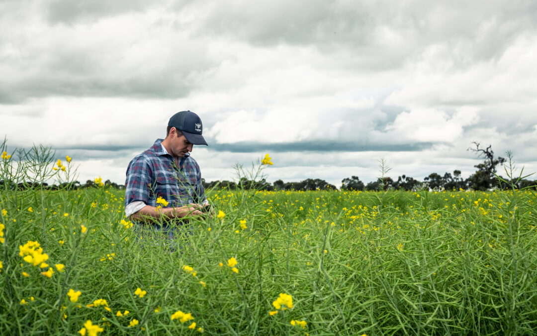 How GrainCorp Next is helping reduce emissions across the grain value chain
